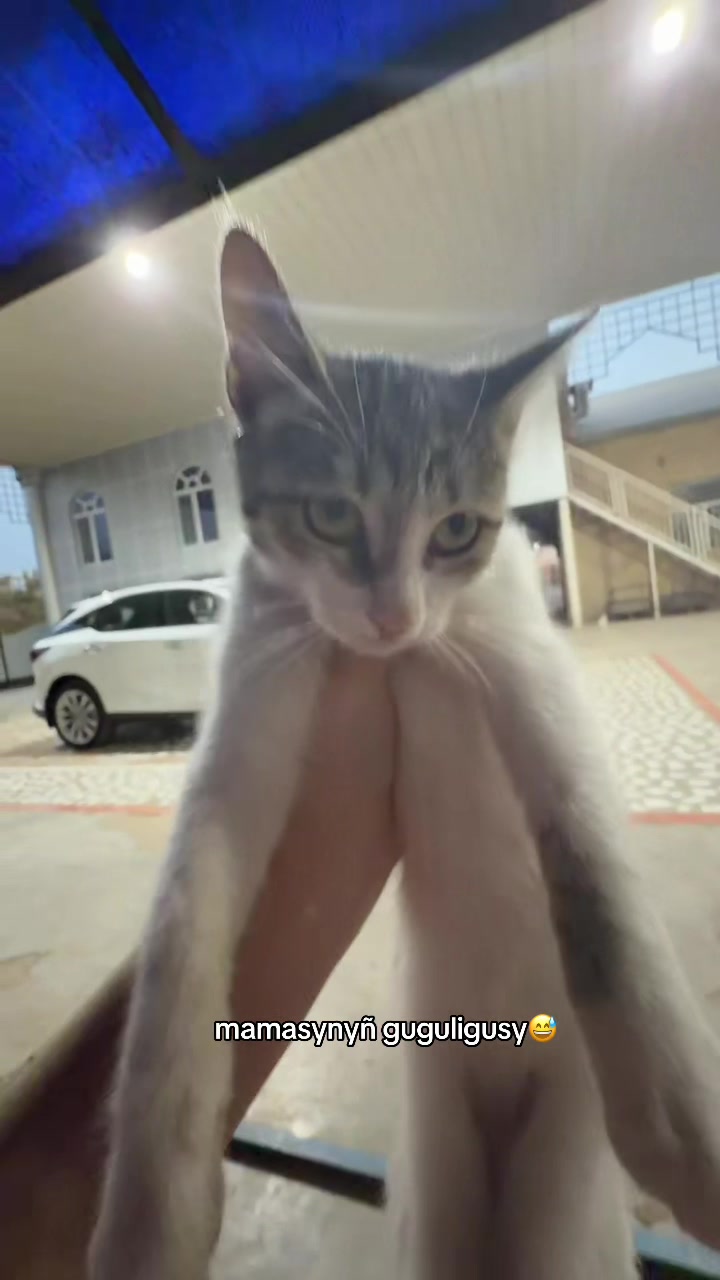 @dr.GunchaAtajanowna