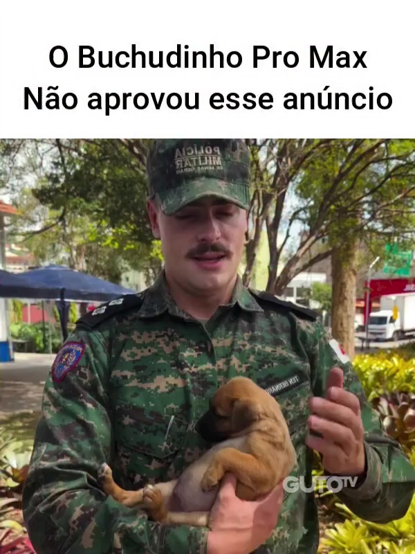 @Happy Day Brasil