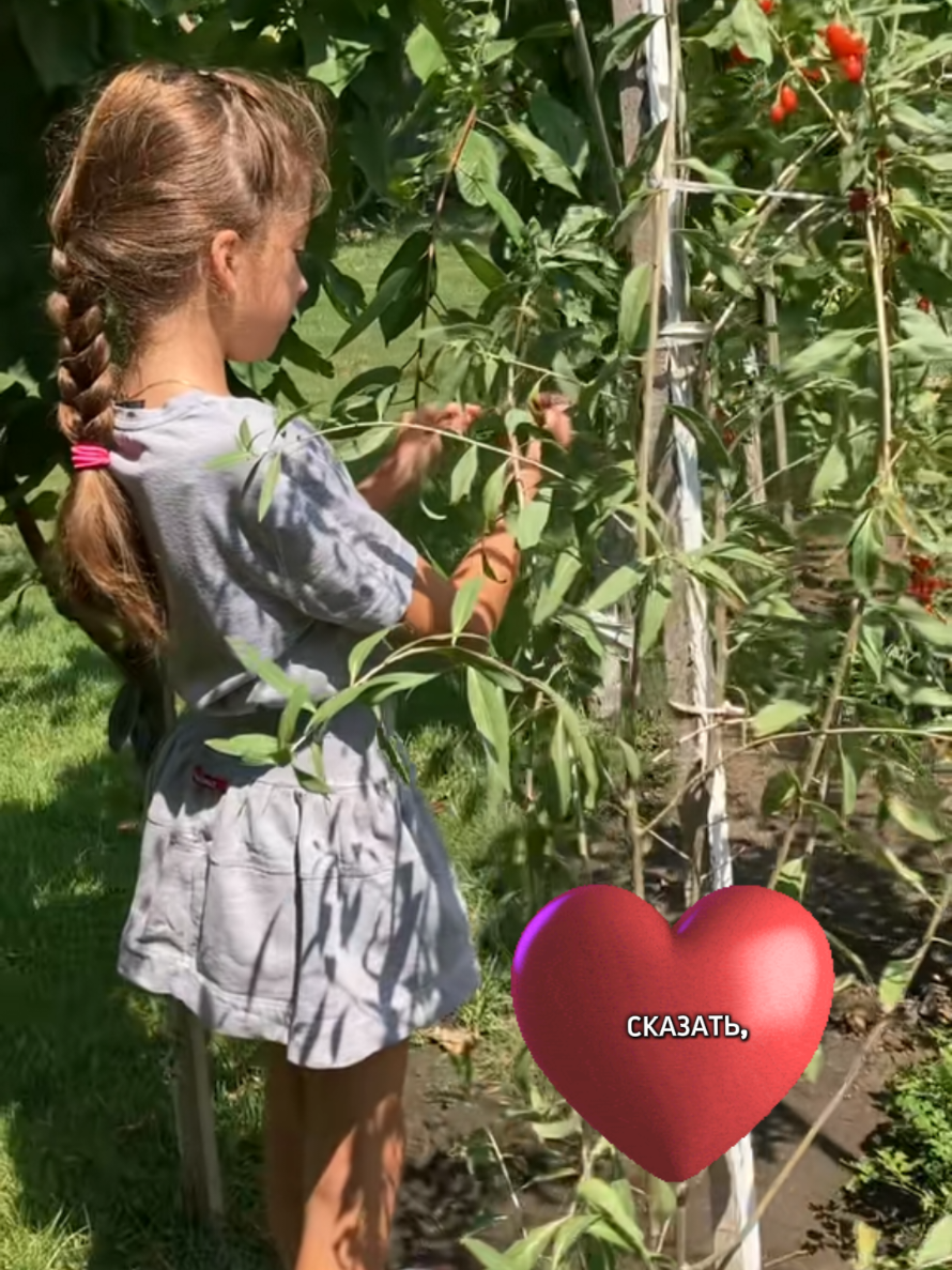 @SofiaChocolata