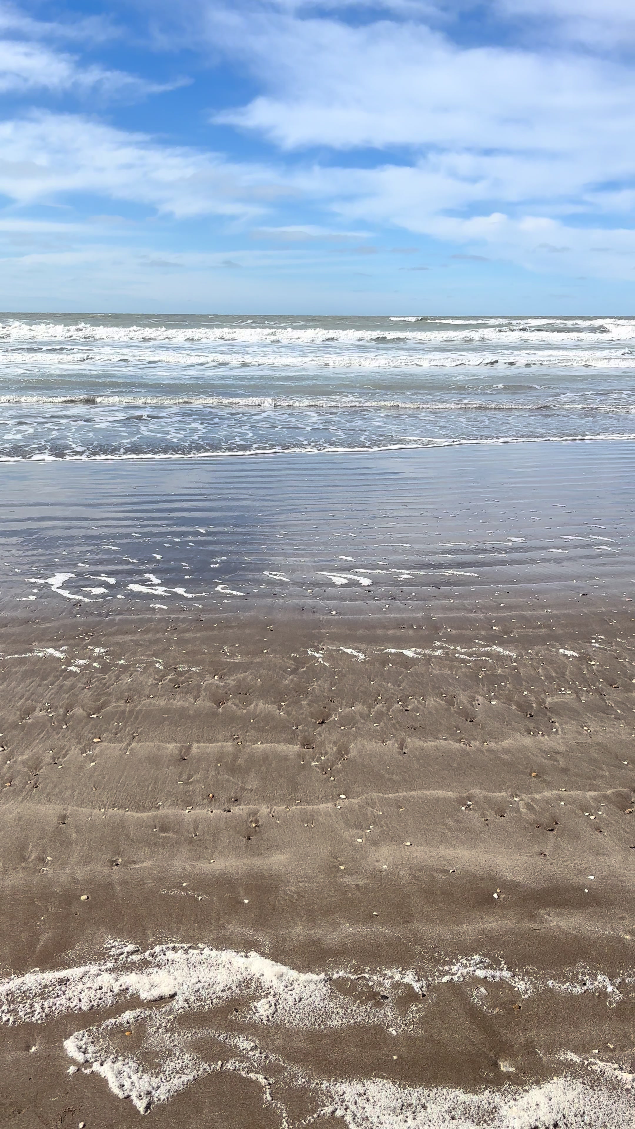 @san bernardo 🥰🇦🇷