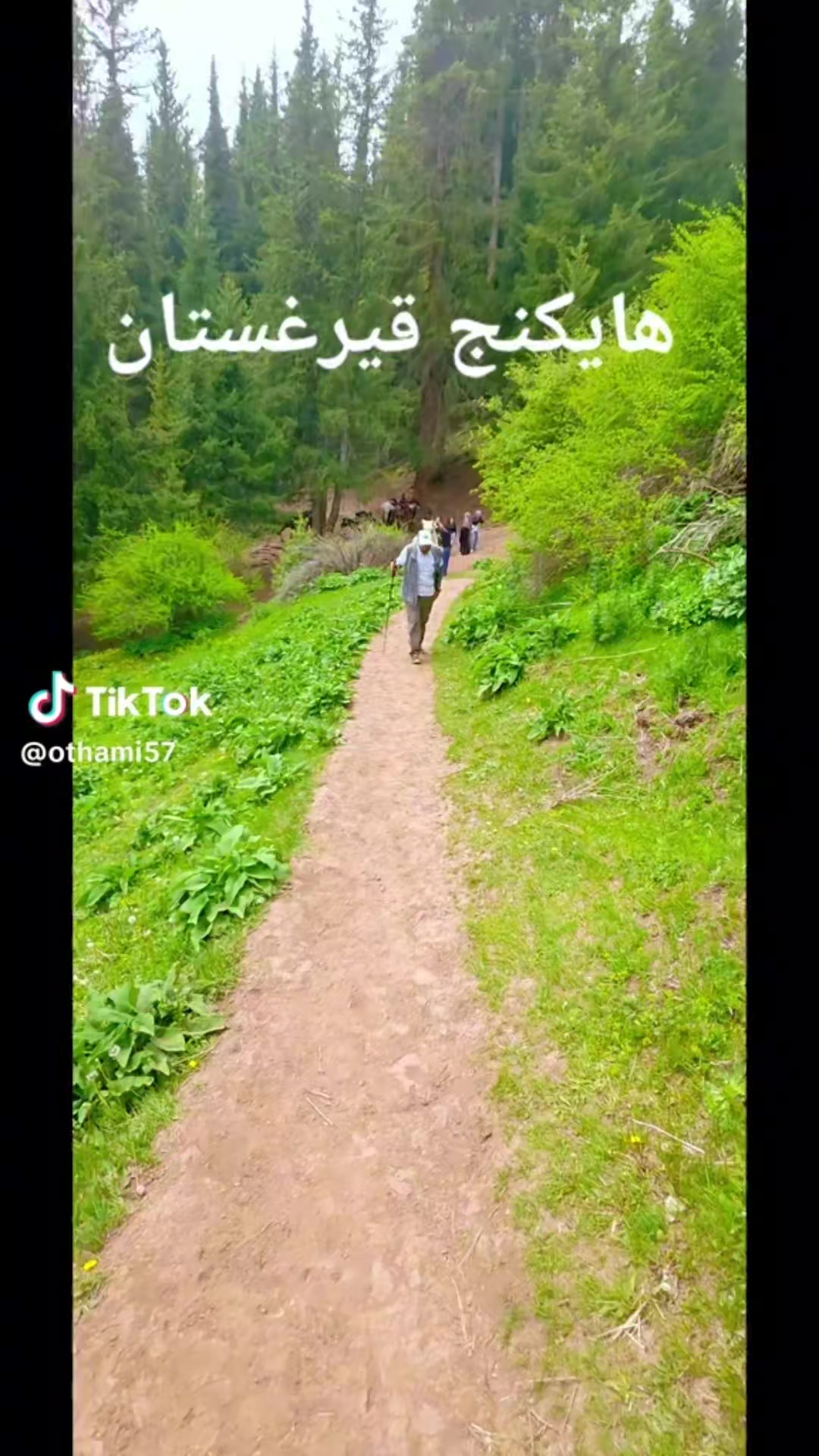@Adel N. Samarkandi
