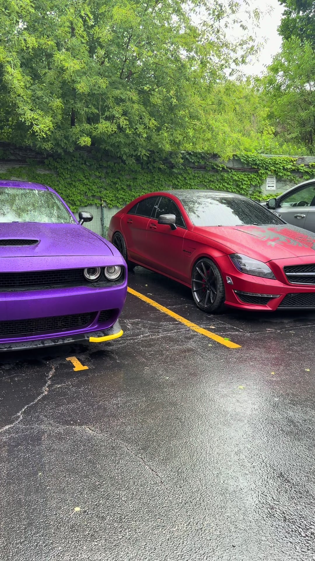 @mali_car_wrap