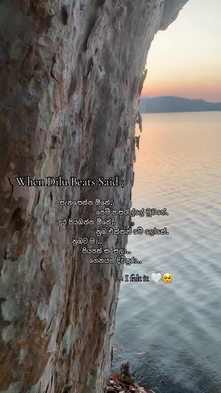 @ɴᴀᴛᴜʀᴇ ᴘʀᴏᴍɪsᴇs