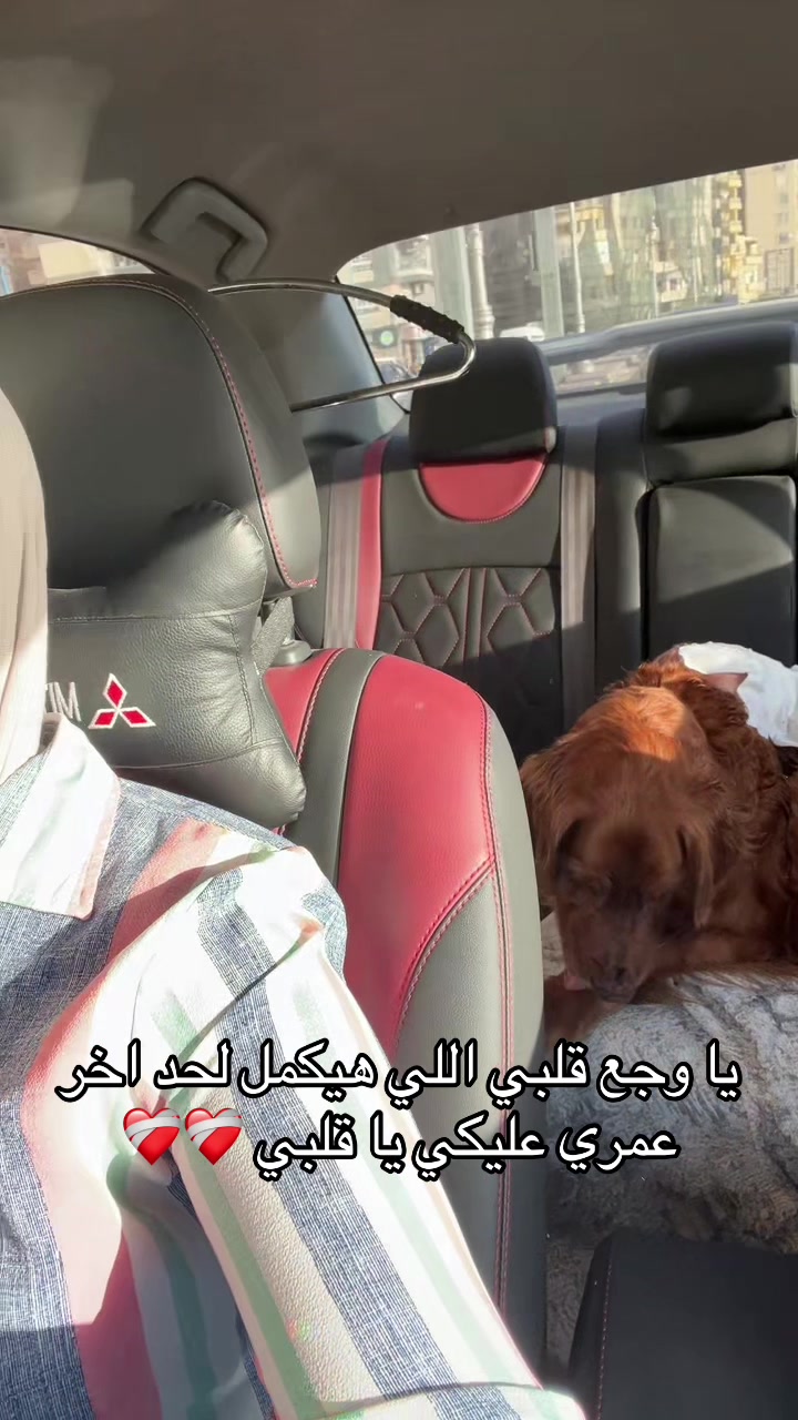 @Hala Ashraf