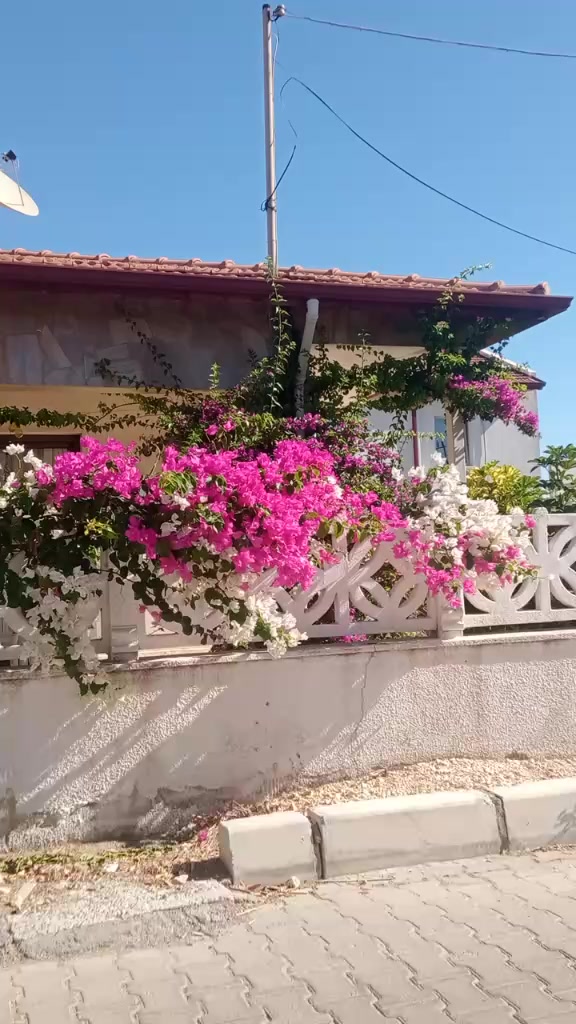 @meltemsultan35