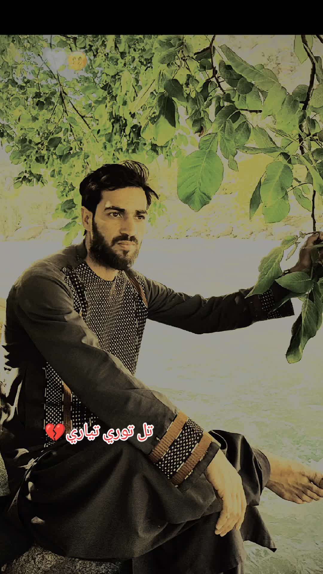 @Tayeebullah Hamdard