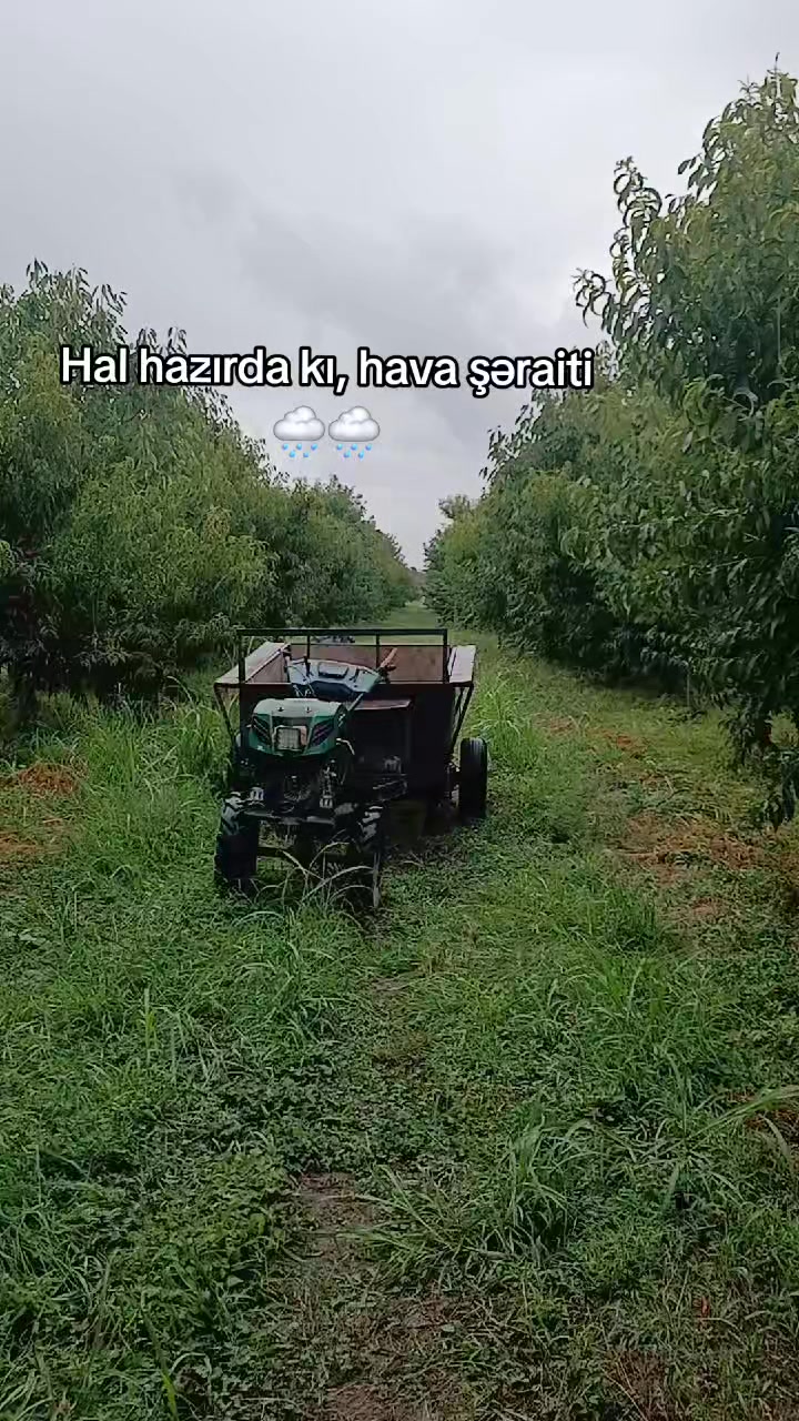 @ALEKSEYEVKA KƏND ✅