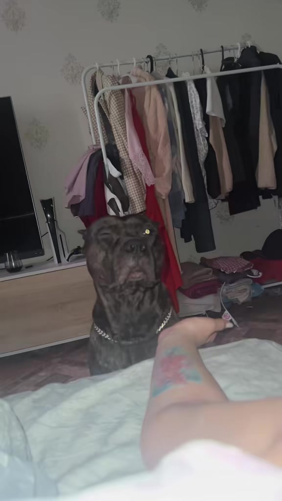 @mamamaika