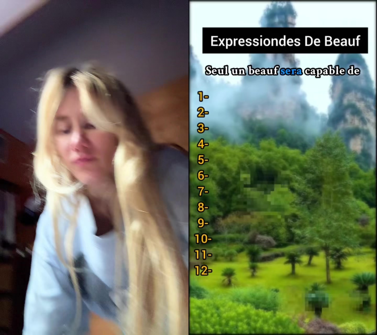 @🇫🇷 Alice Moitié 🇫🇷