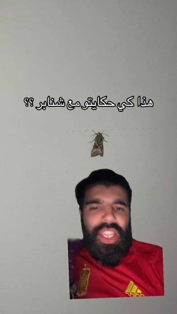 @Amine