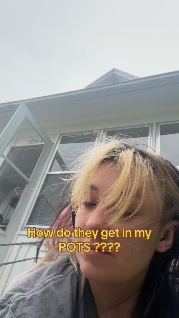 @salemxslayx