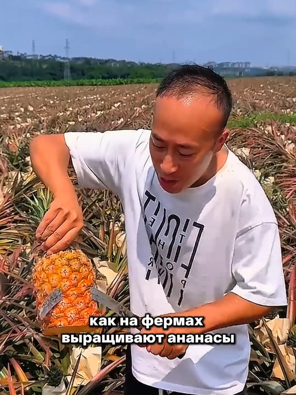 @Igor Ganea
