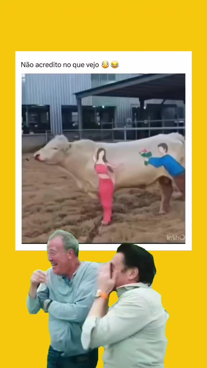 @Zé Zuero