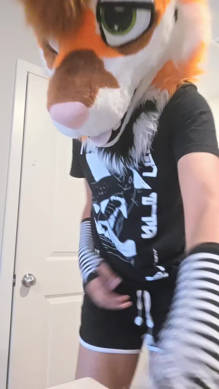 @mutt