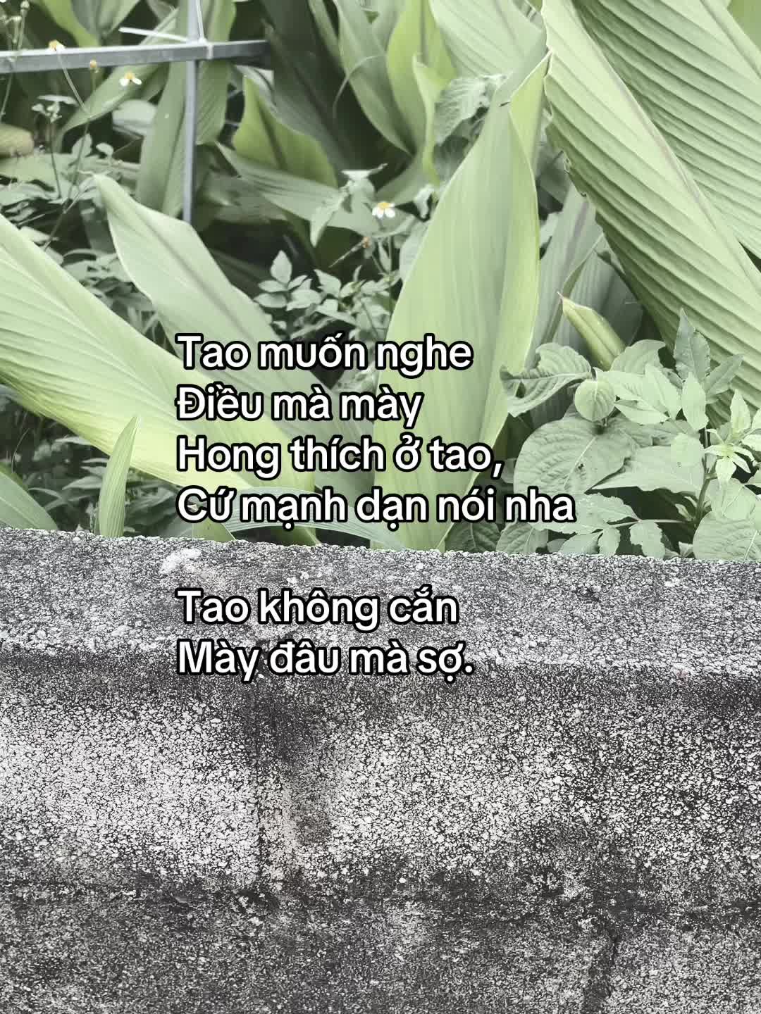 @Tiến Đức