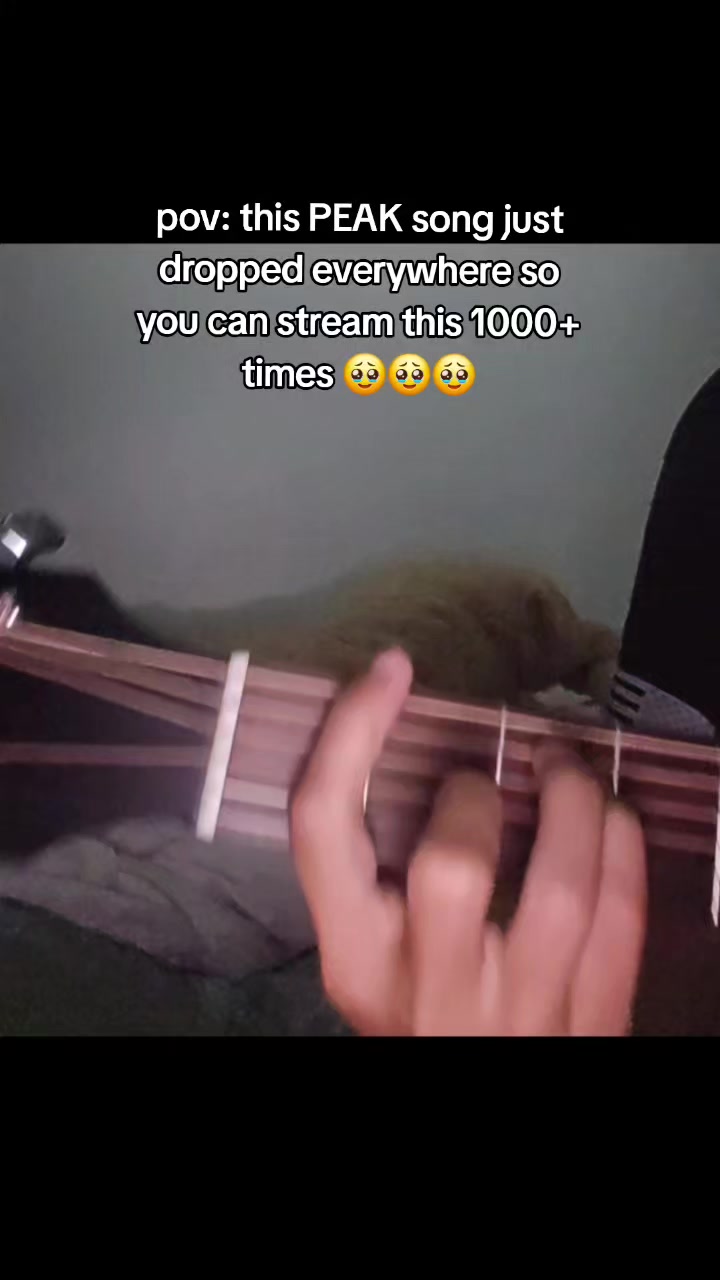 @coldwntr