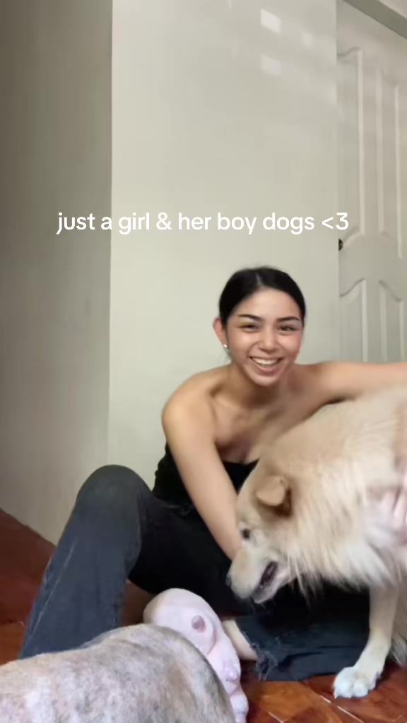 @Laursaur🦖