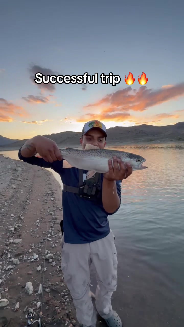 @Just the tip Steve