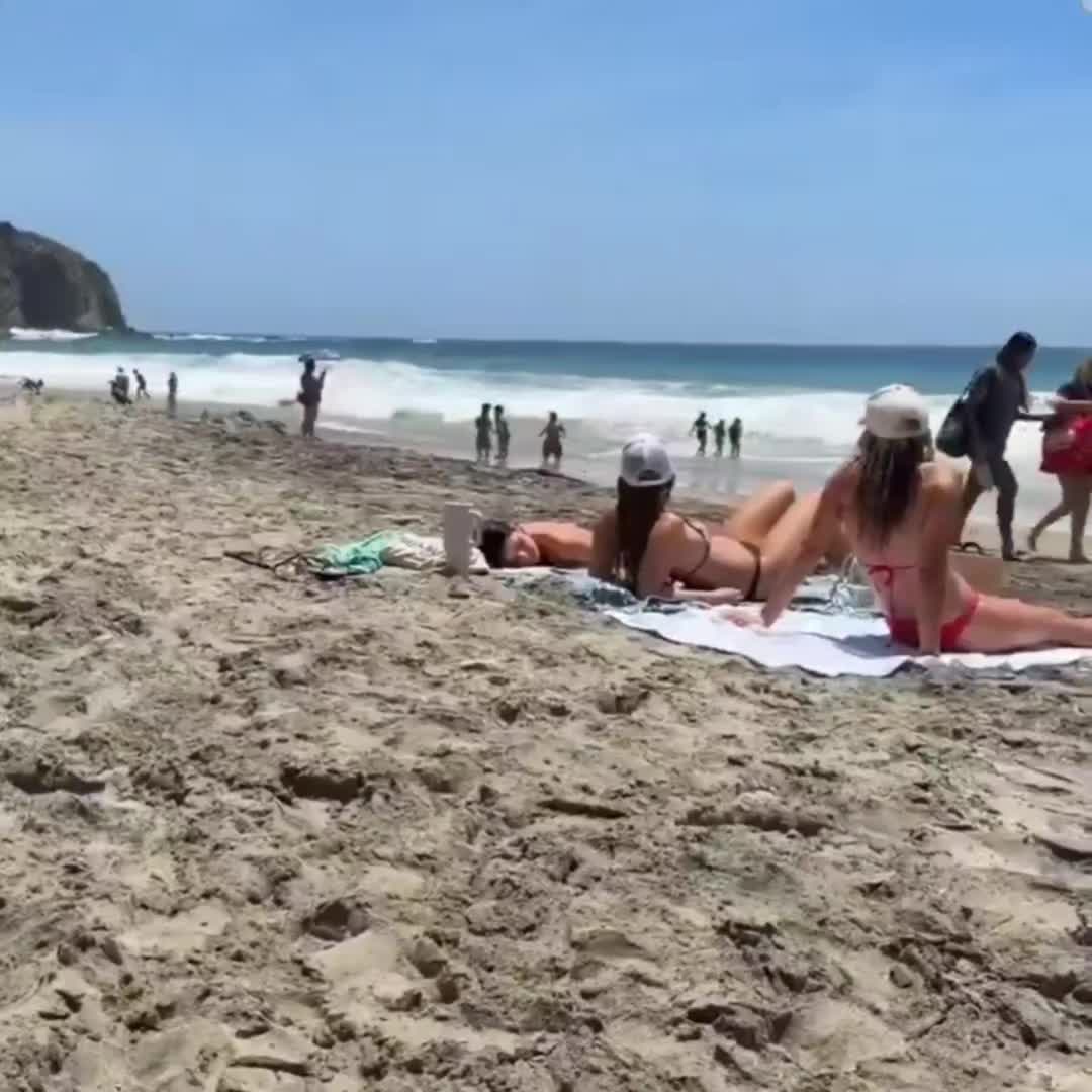 @el.peludo.sv