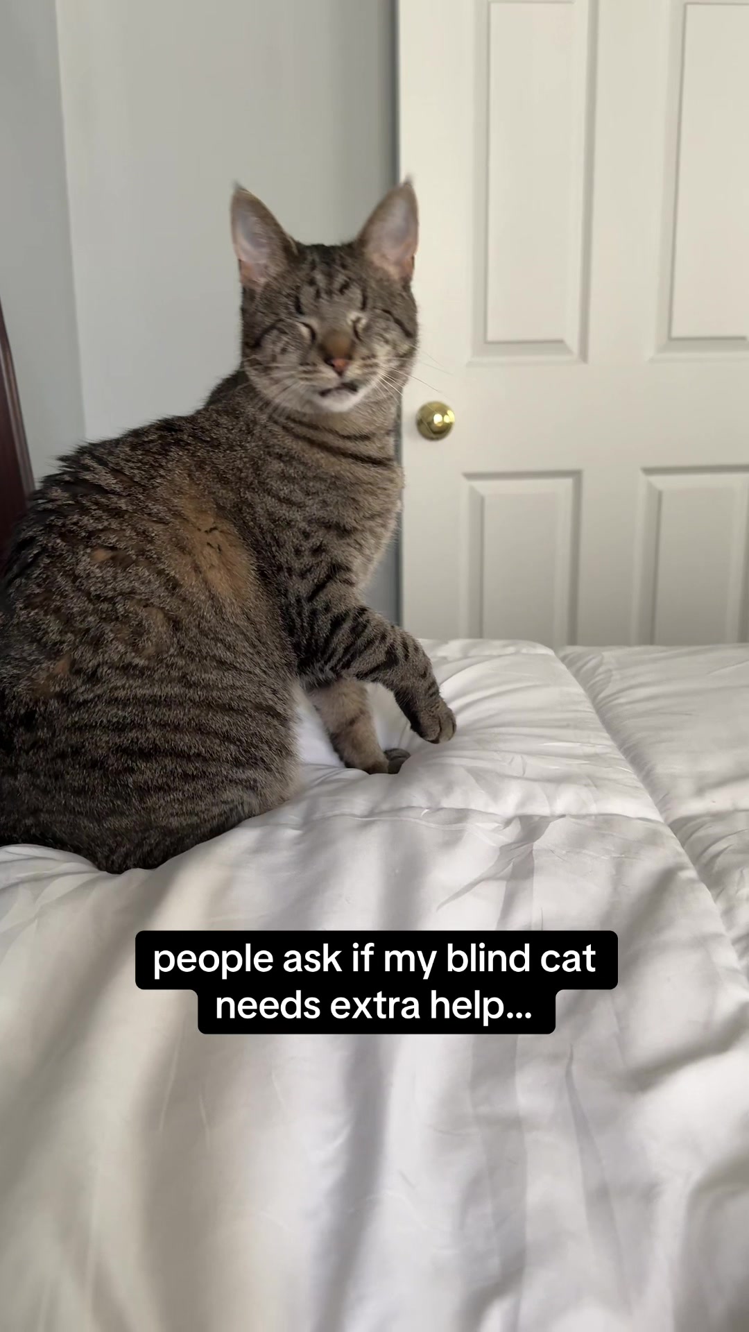 @𝘼𝙢𝙗𝙚𝙧 & 𝙎𝙩𝙚𝙫𝙞𝙚