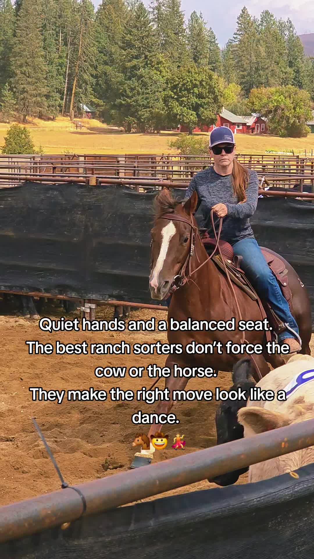 @🐴 ColdMountainRanch 🏇