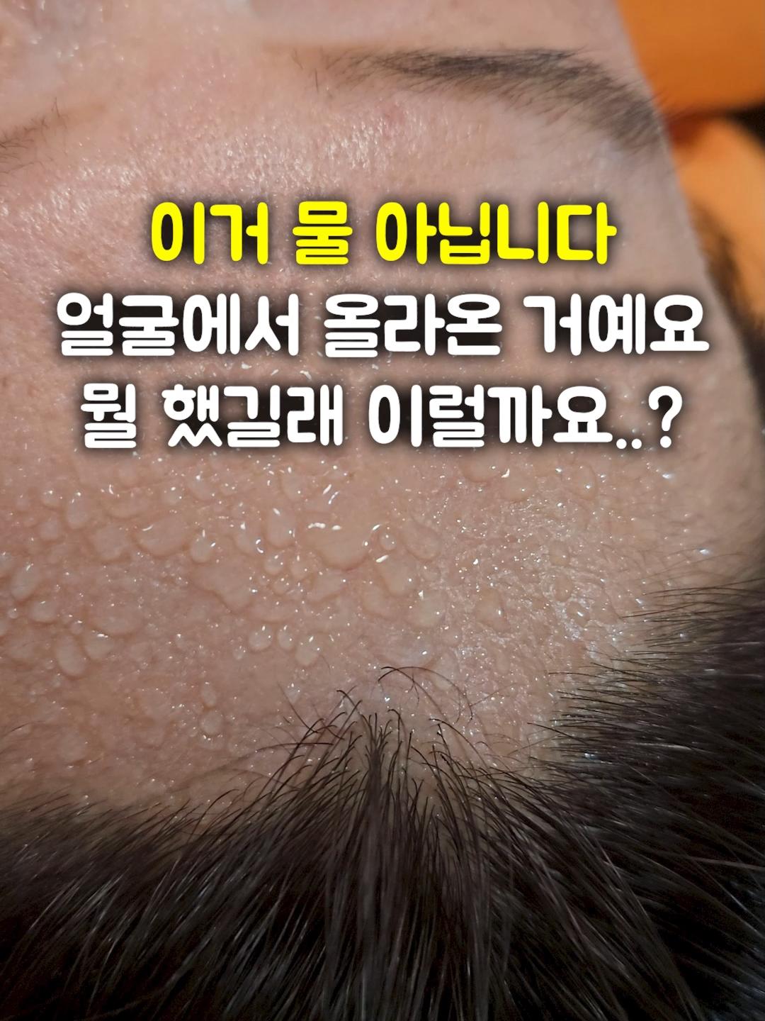 @들꽃잠