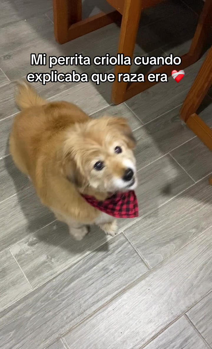 @Nad