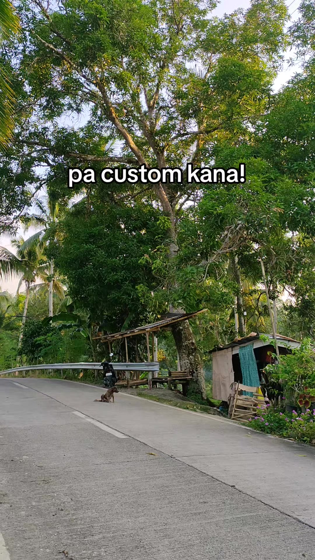 @KAIJU