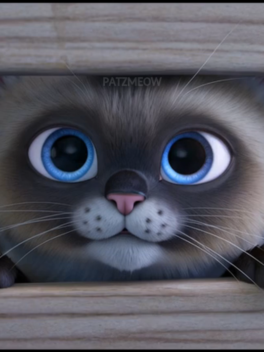 @patzmeow