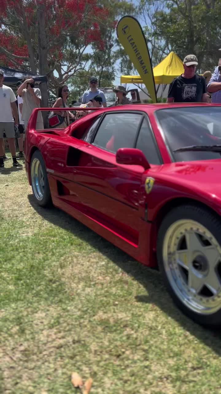 @carsofnsw