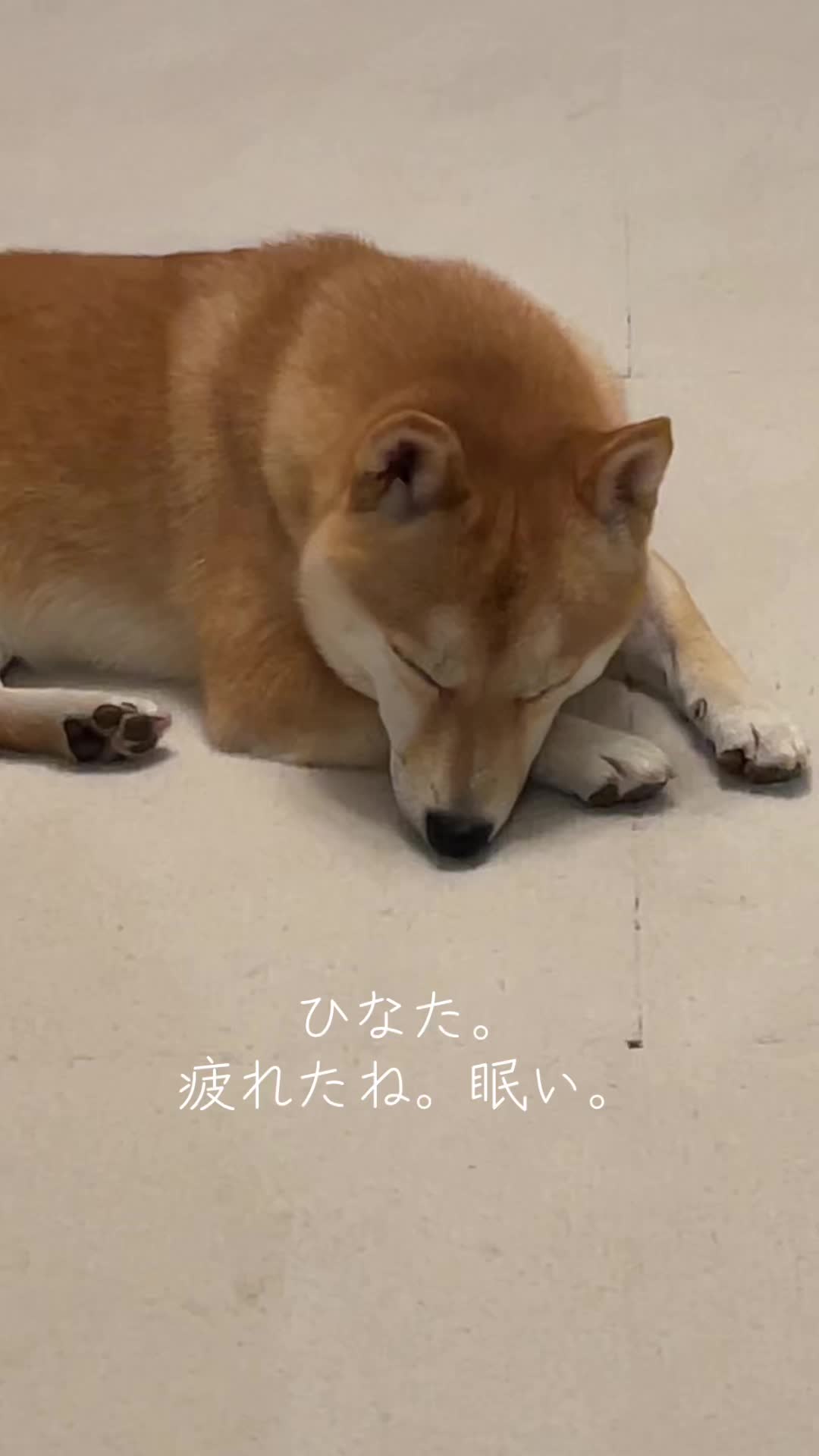 @ひでぽともぽ