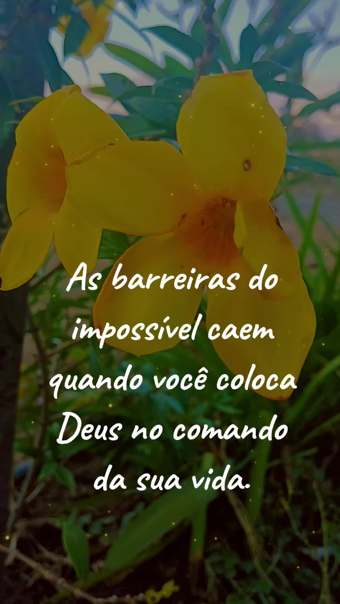 @💠Soninha _ Sol🔹ofc