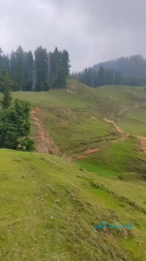 @M,Arshad kashmiri
