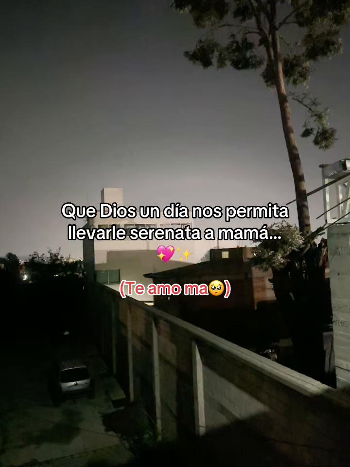 @✨🐈Dorismar Argth