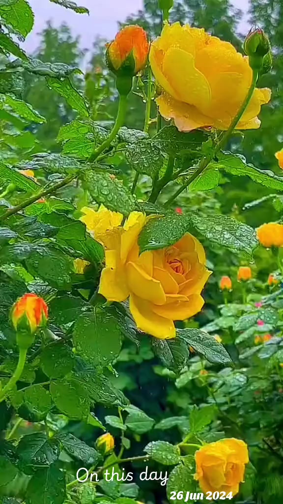 @🥰💚 So___nia 💚🥰