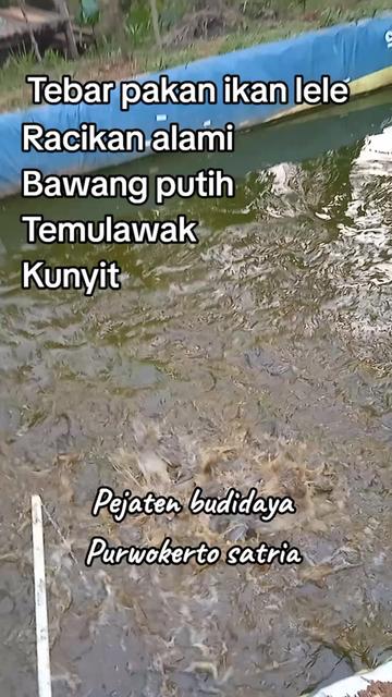 @SUYITNO TOK