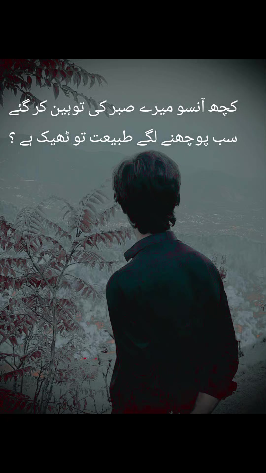 @❂حمید🍁