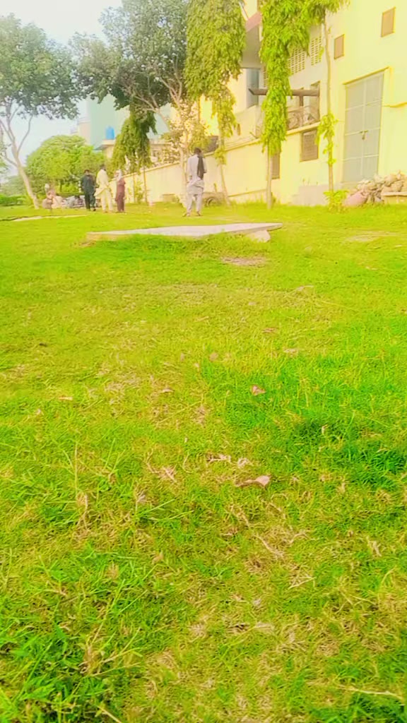 @sanwaljk7