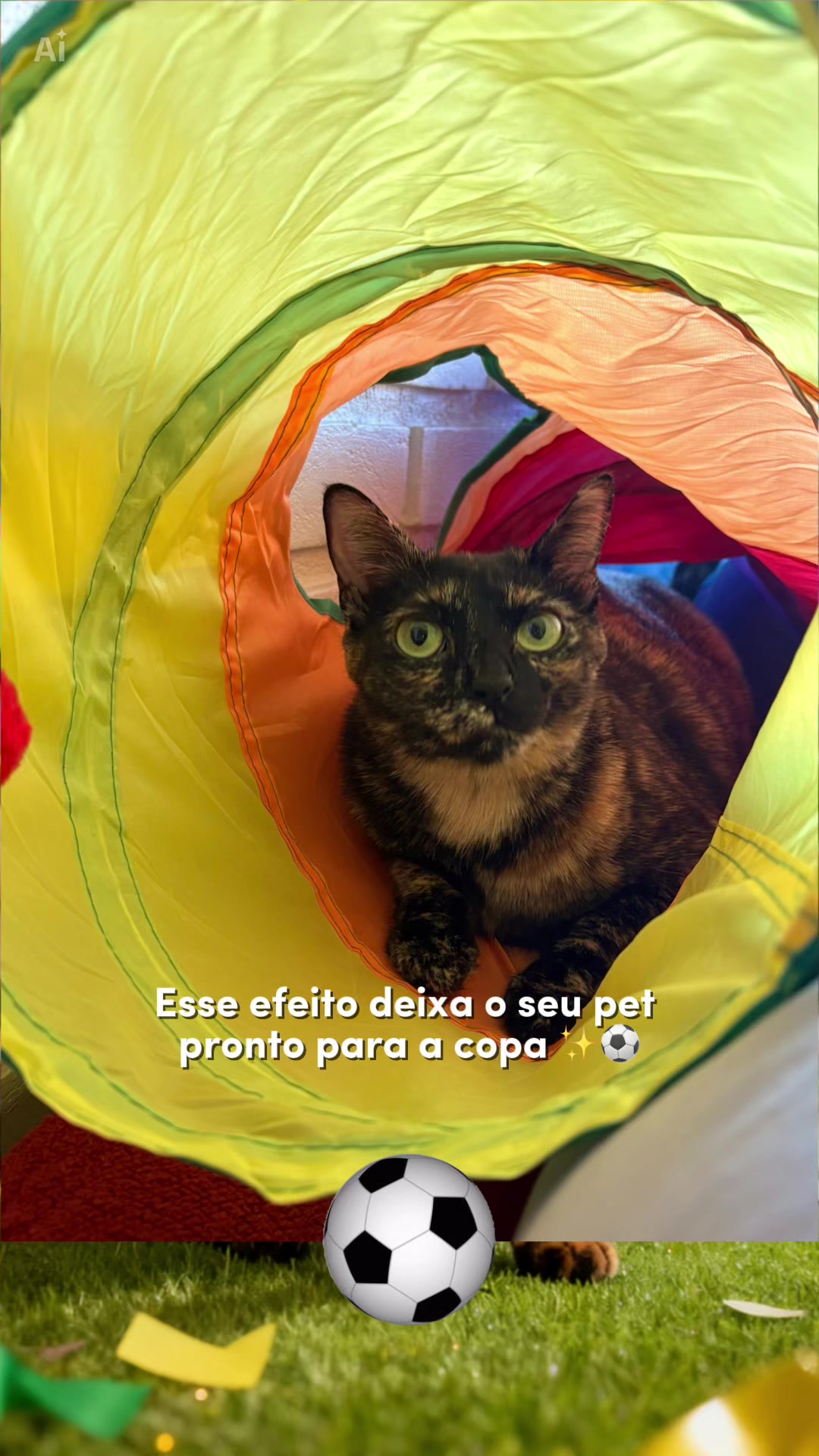 @Regiane Tosatti