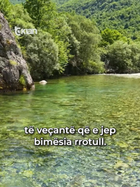 @RTV KLAN