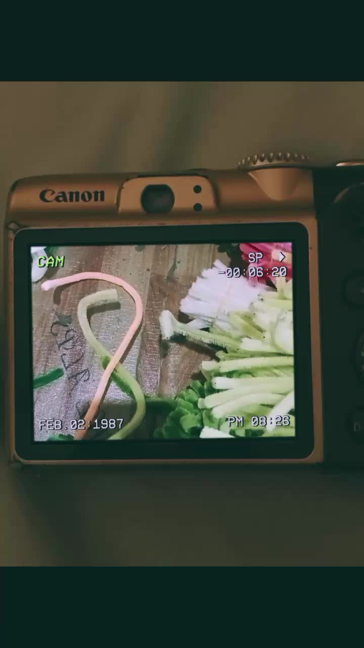@✨