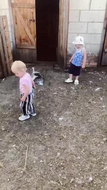 @alinareshetskaya