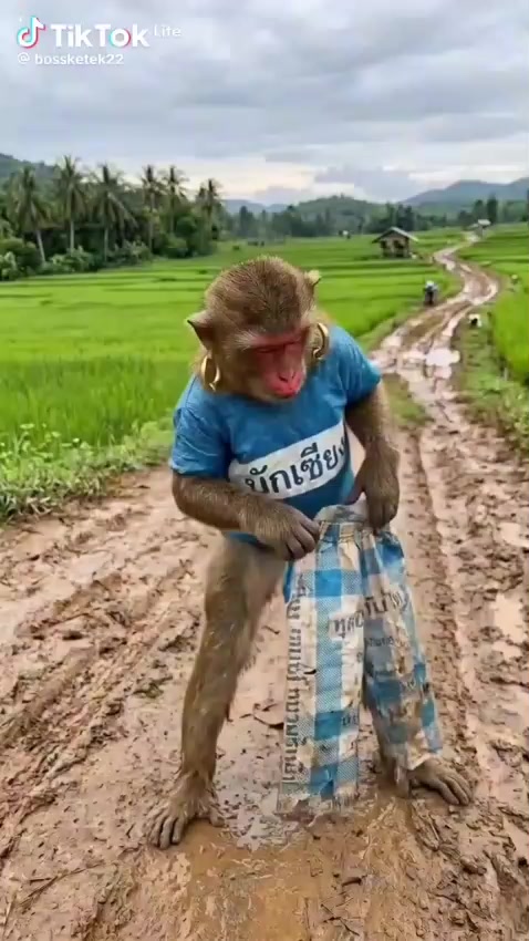 @Mpofana012