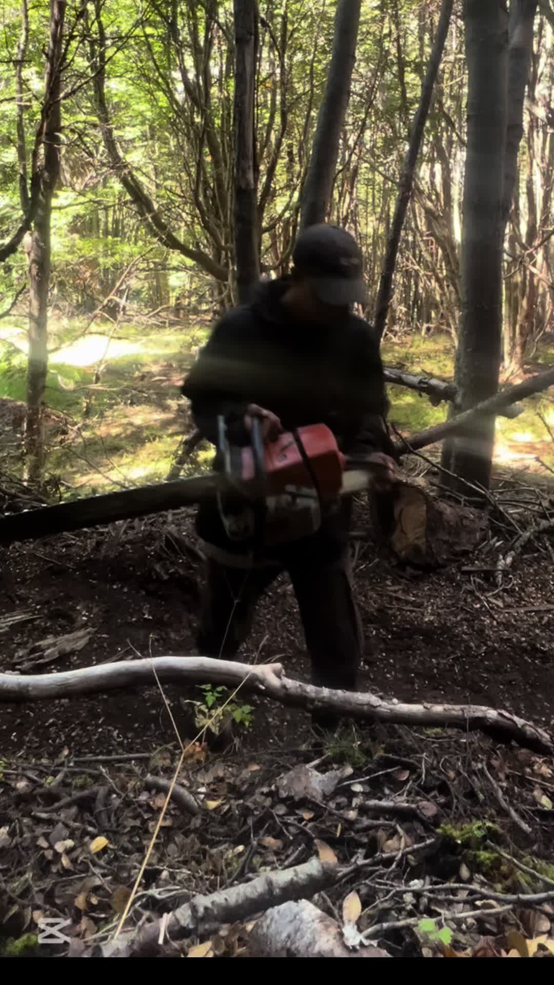 @Daniel Peña