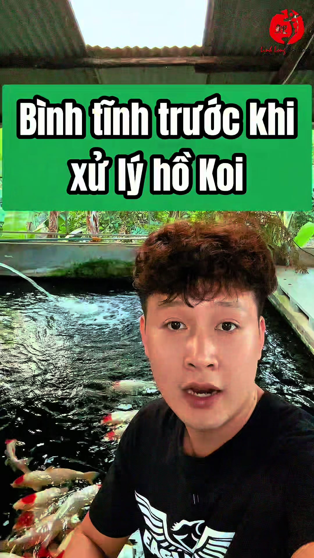 @Linh Long Koi Farm