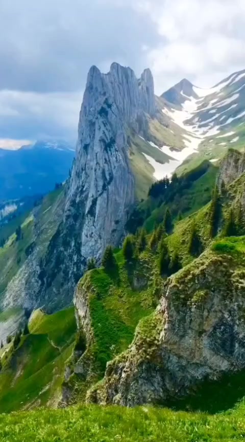 @Lionghoaho