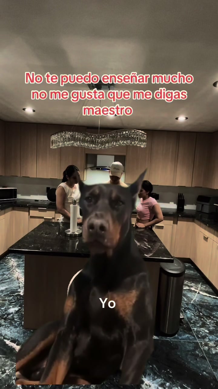 @yanders2131