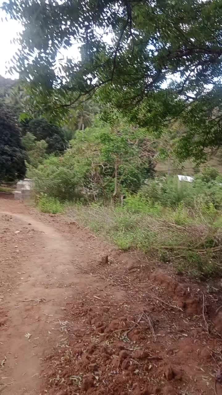 @dalali msomi pugu chanika