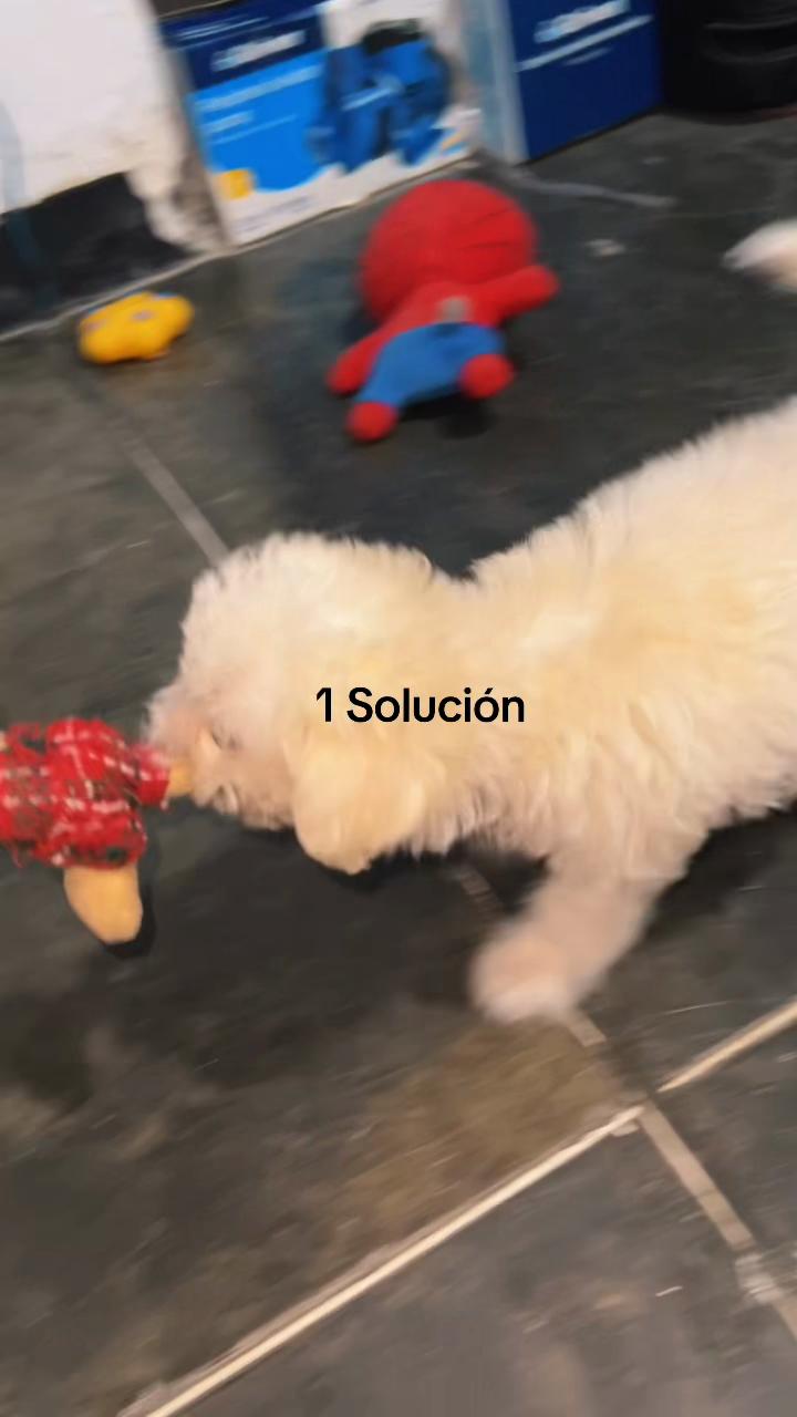 @Cloe