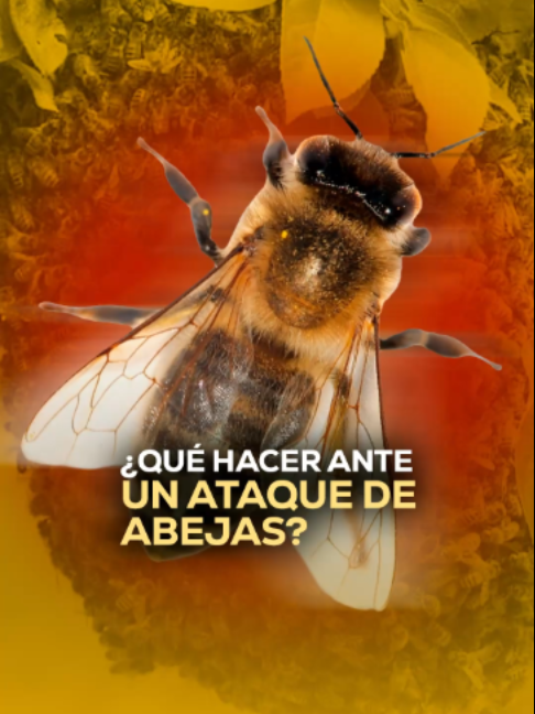 @MVS Noticias Monterrey